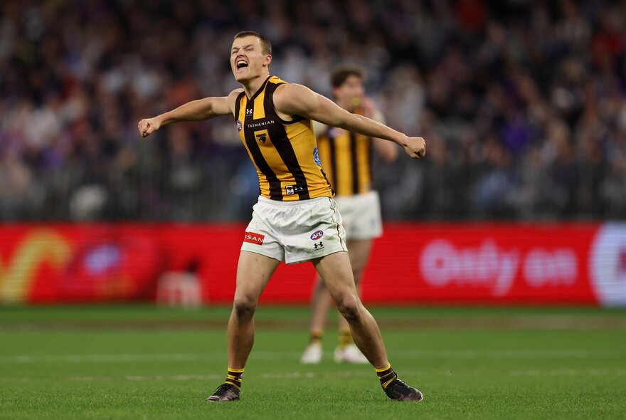 A Hawthorn football player looking exuberant with his arms out on a football field. 