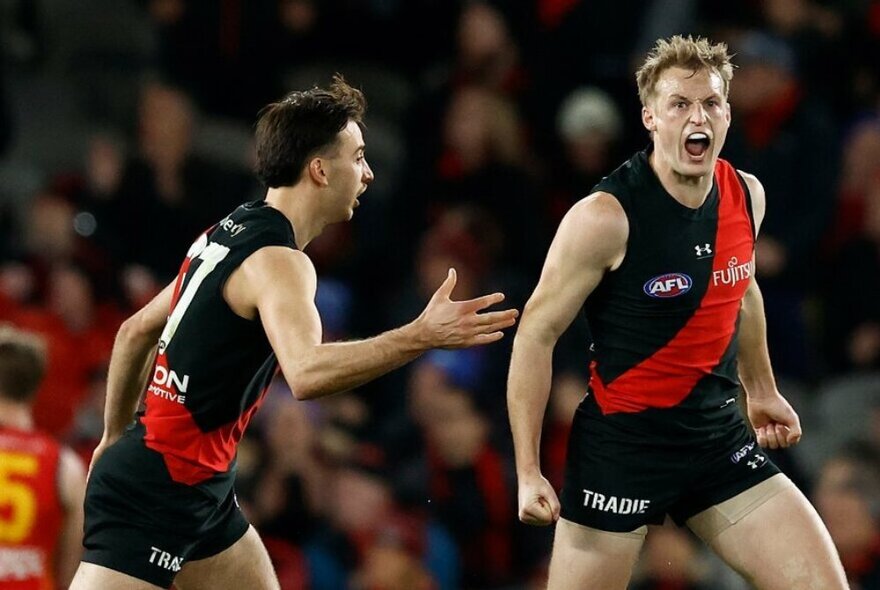 Two Essendon AFL players during a match, one clenching fists and yelling.