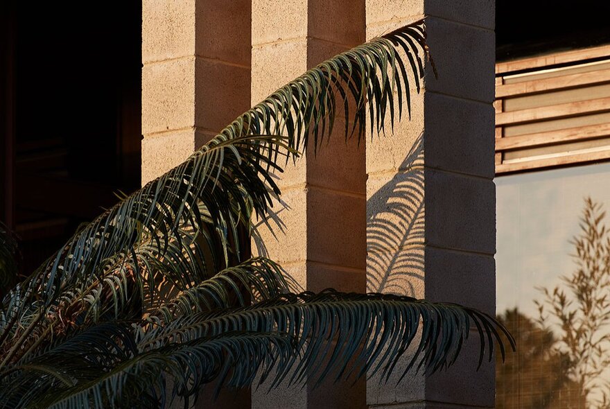 A palm frond casting shadows on three sandstone brick columns.