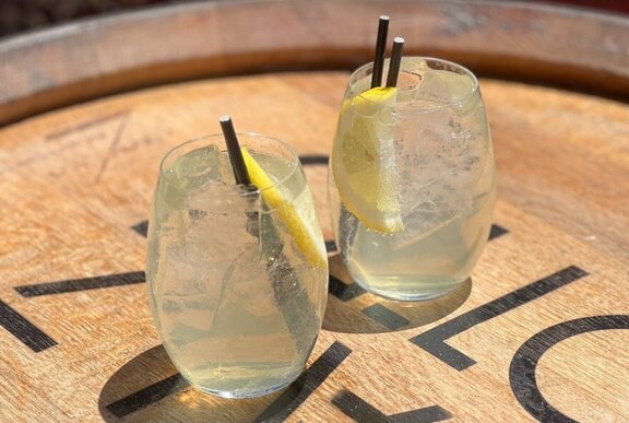 Two glasses of iced spritzes with slices of lemon on a wooden table.