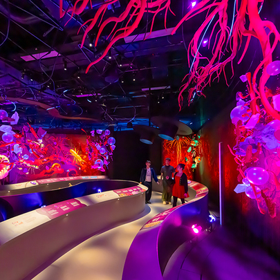 The best things to do under $20 in Melbourne