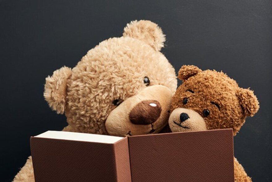 Two teddies seated reading a book.