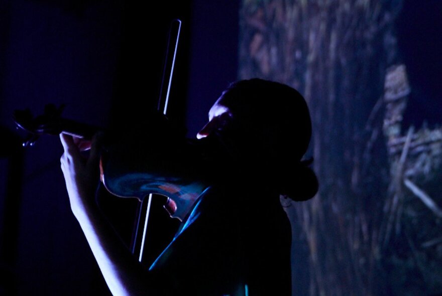 A musical performance featuring a violinist playing on a stage with a scenic landscape projected on a large screen behind them.