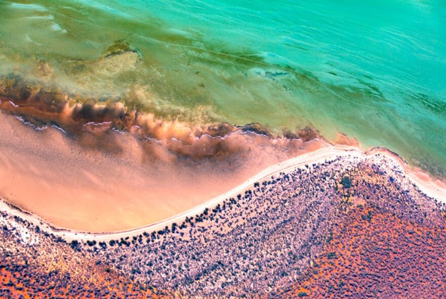 Aerial photo of sand dunes meeting the shoreline and aqua blue water. 