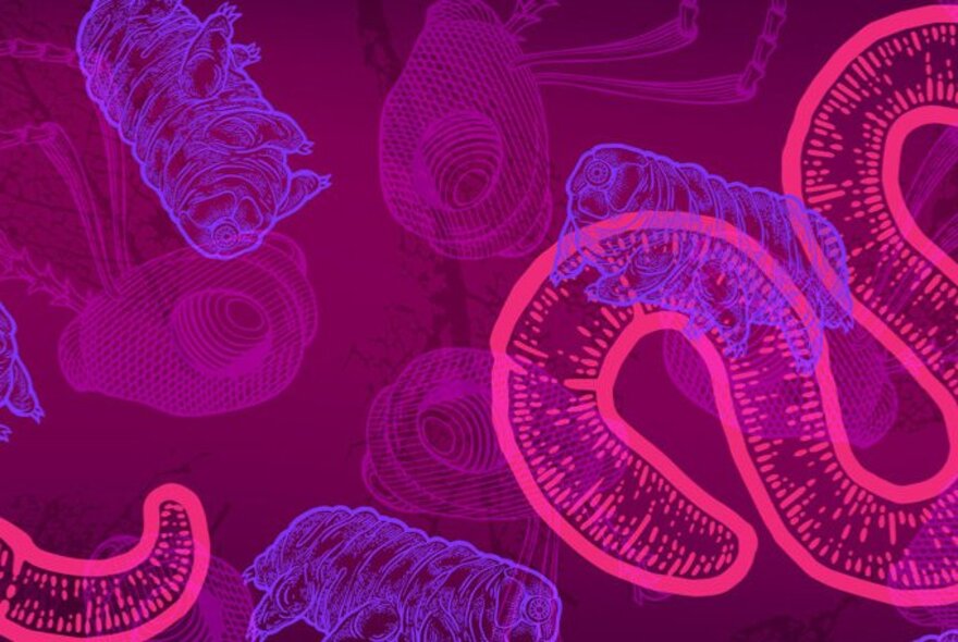 Fluorescent pink snakes over purple microbes.