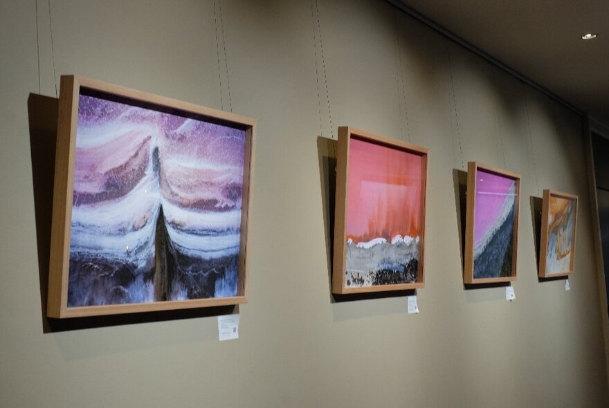 Framed artworks featuring natural forms hanging on a dimly lit grey wall in a gallery.