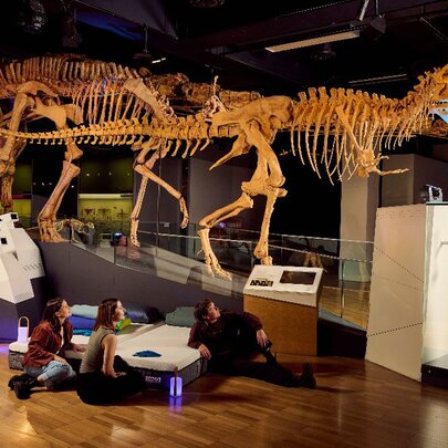 Melbourne Museum Adult Sleepover
