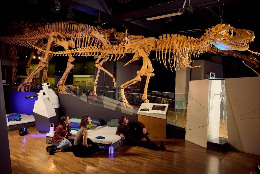 People on the floor underneath a skeleton of a dinosaur at night in a museum