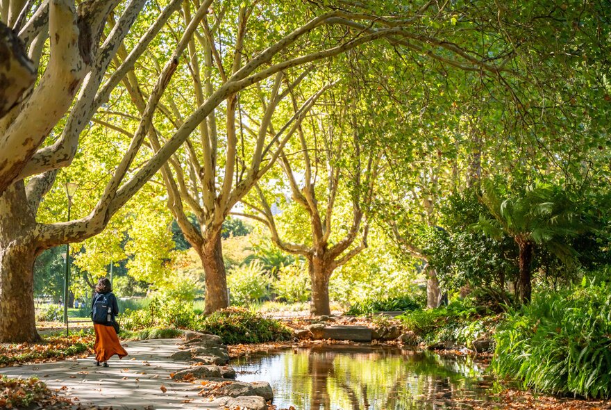 A woman walking down a stone pathway next to a pond. The ground is covered in leaves and there are large trees in the background.