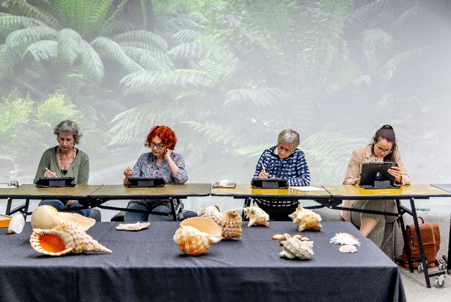 Four people at a long desk all eyes down in front of a table with large and elaborate shells. 