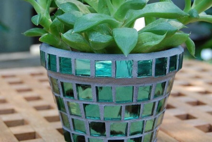 A green-glass-tiled planter pot with green outdoor plant.