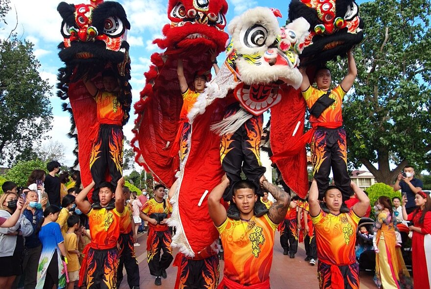 Dancers in colourful orange costumes holding up the large lion puppets used in Lion Dances that celebrate the Lunar New Year.