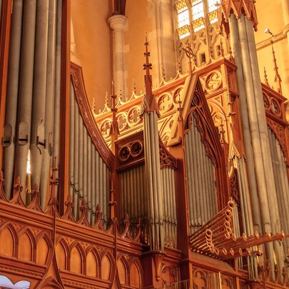Grand Organ Recital with Schola