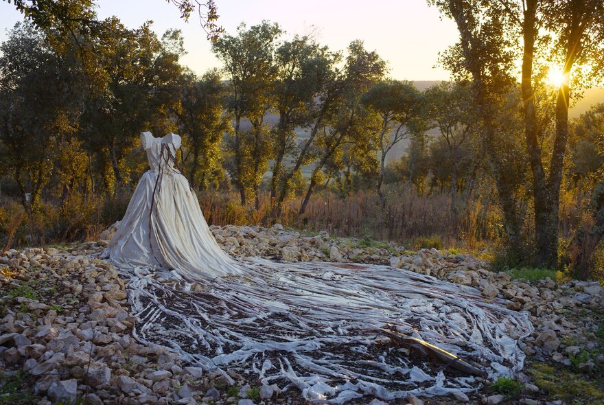 A sculpted white dress with a massive, tangled train of material flowing onto a rocky forest floor. A still from the documentary film, 'Anselm 3D'.