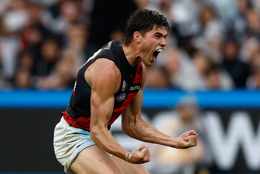 An Essendon AFL player cheering himself and the crowd on with pumped fists, on the footy field.