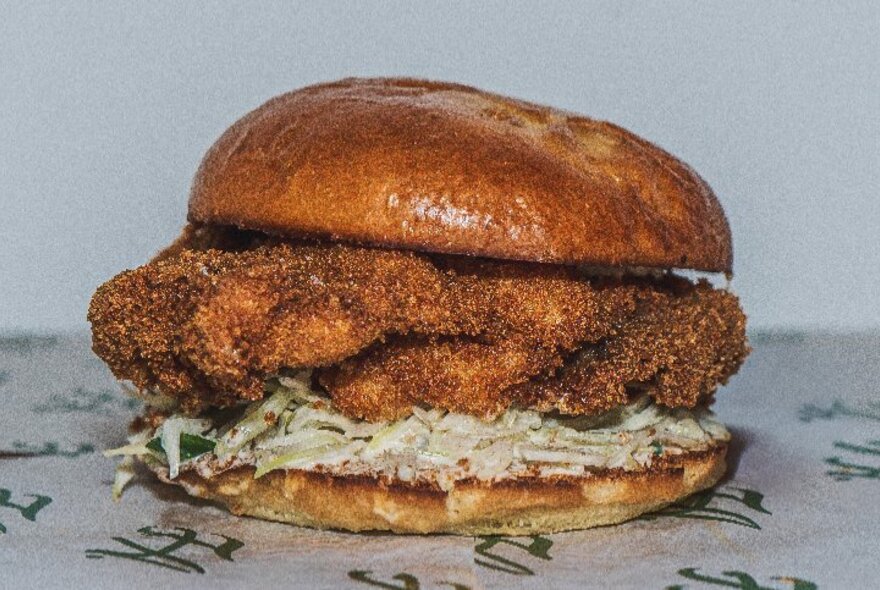 A burger with a very large crumbed chicken patty and slaw.