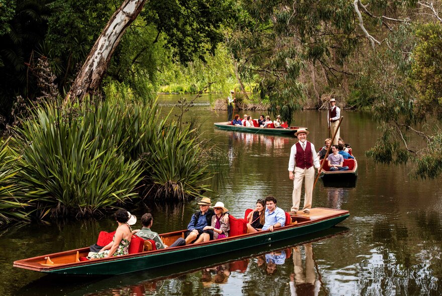 Three long narrow boats with people seated in them and a guide standing at the rear of each boat, punting on the lake at Royal Botanic Gardens.