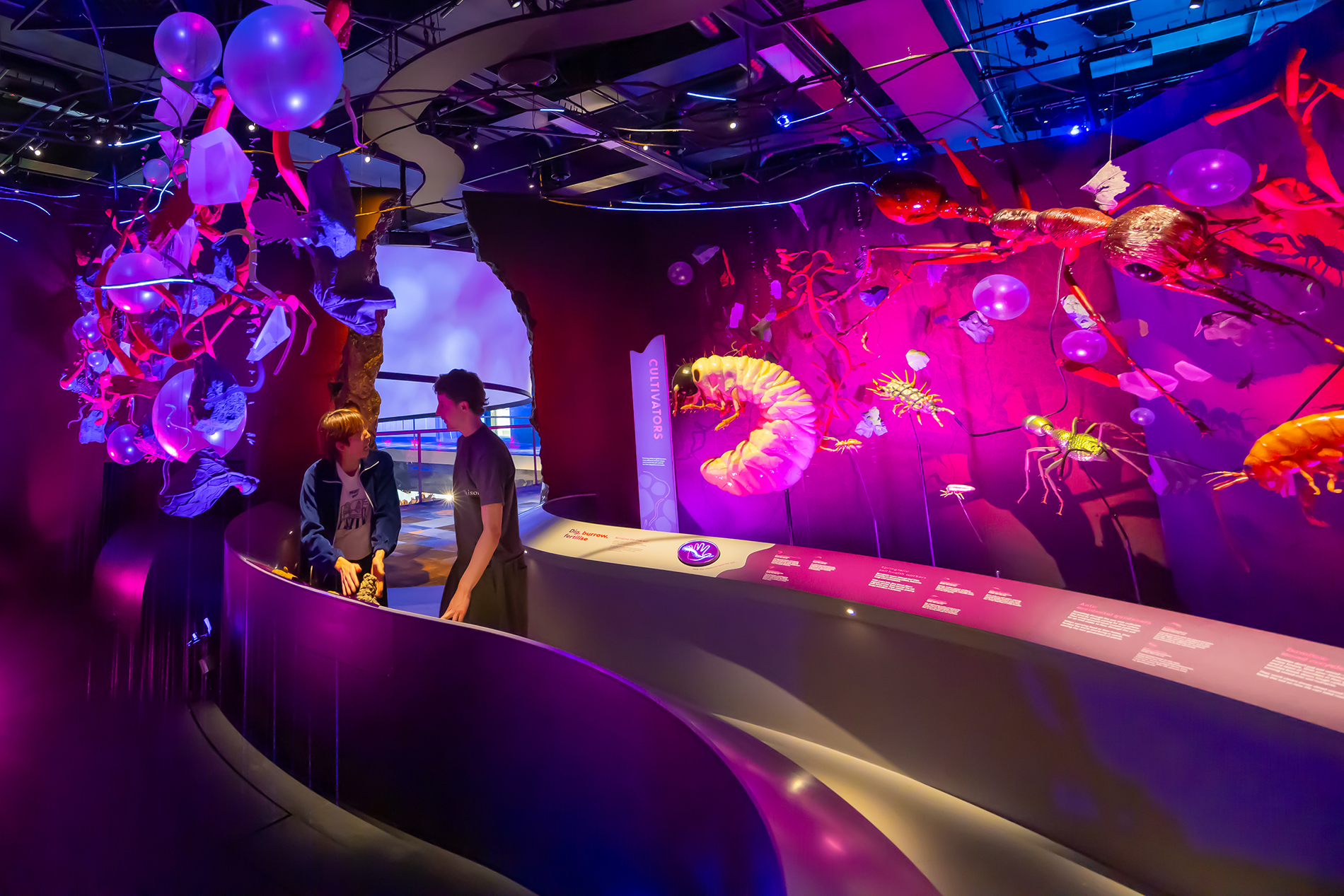 Two people walking through a digital insect display in a museum.