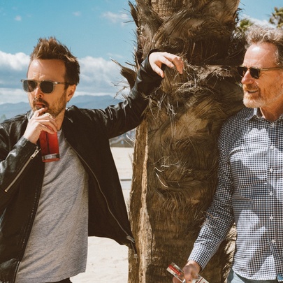 Aaron Paul and Bryan Cranston in a desert setting leaning against a tree wearing sunglasses.