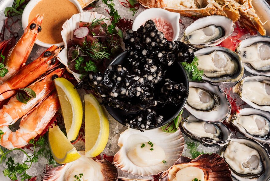 A platter of seafood seen from above, including oysters, scallops, prawns and squid-ink crackers.