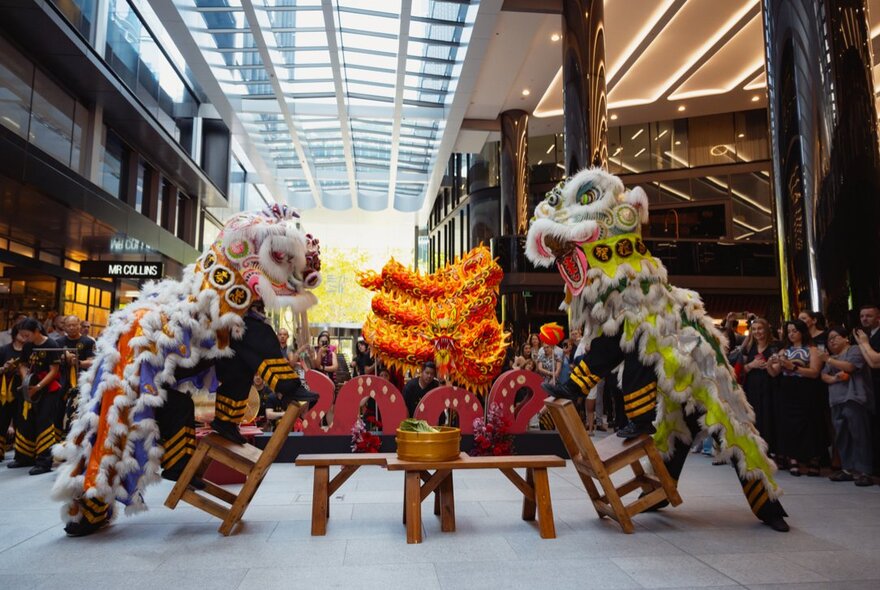 Dragon dance performers in costume in a retail space.