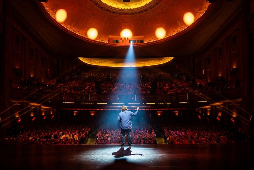 View from the rear of a stage of a comedian under a single spotlight, performing to a seated theatre audience.