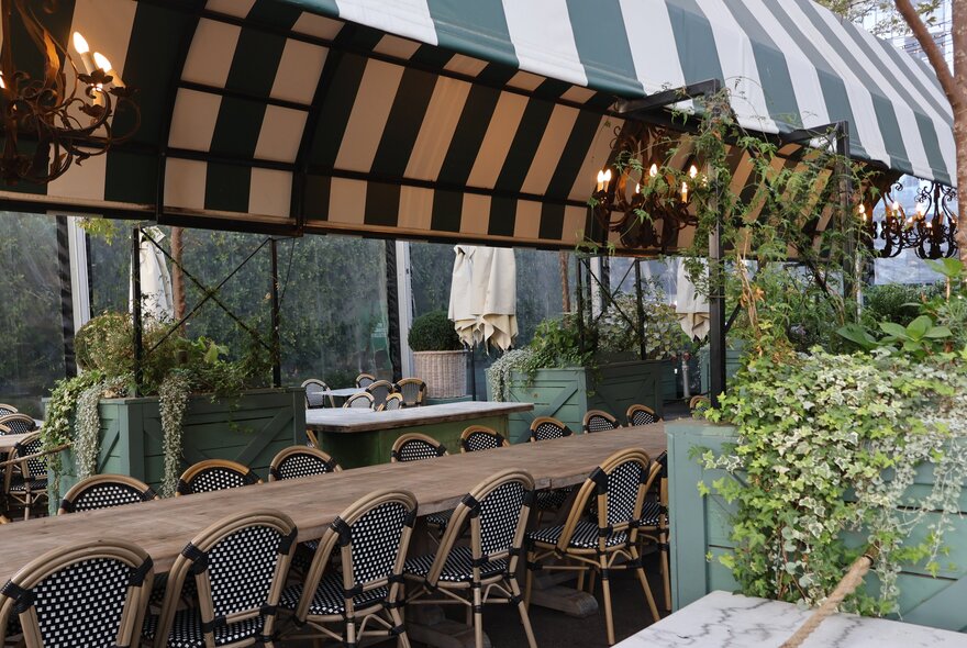 Long table with chairs under a striped awning with plants.