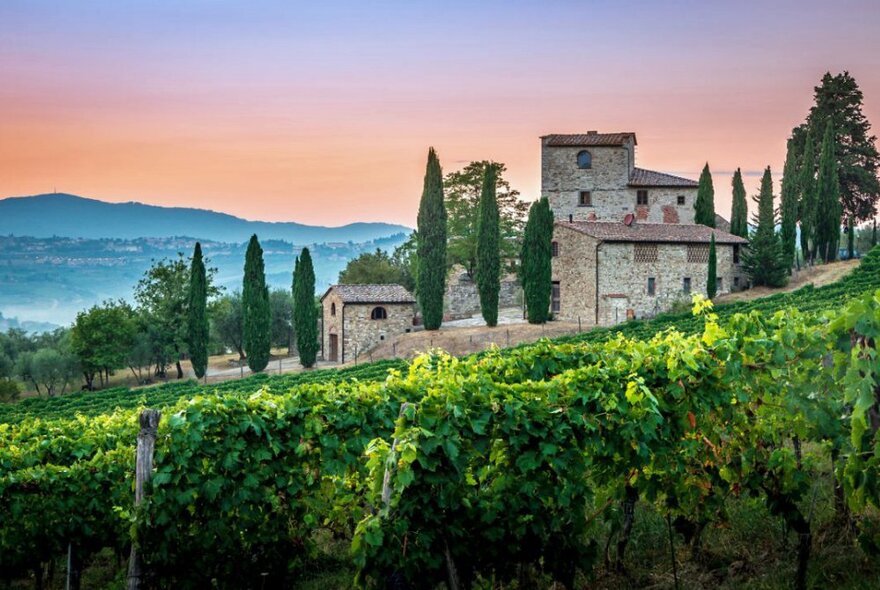 A Tuscan farmhouse at dusk with a glowing sky and a vineyard in the foreground. 