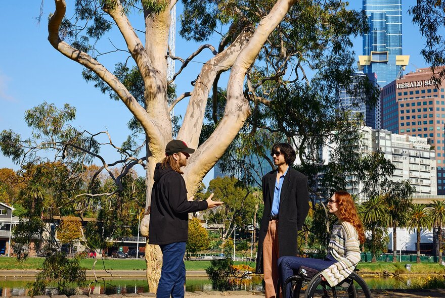Three people talking beside a large tree by a river in a city. One is using a wheelchair.