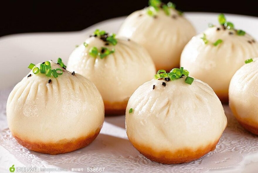 A plate of pan fried dumplings with a spring onion garnish.