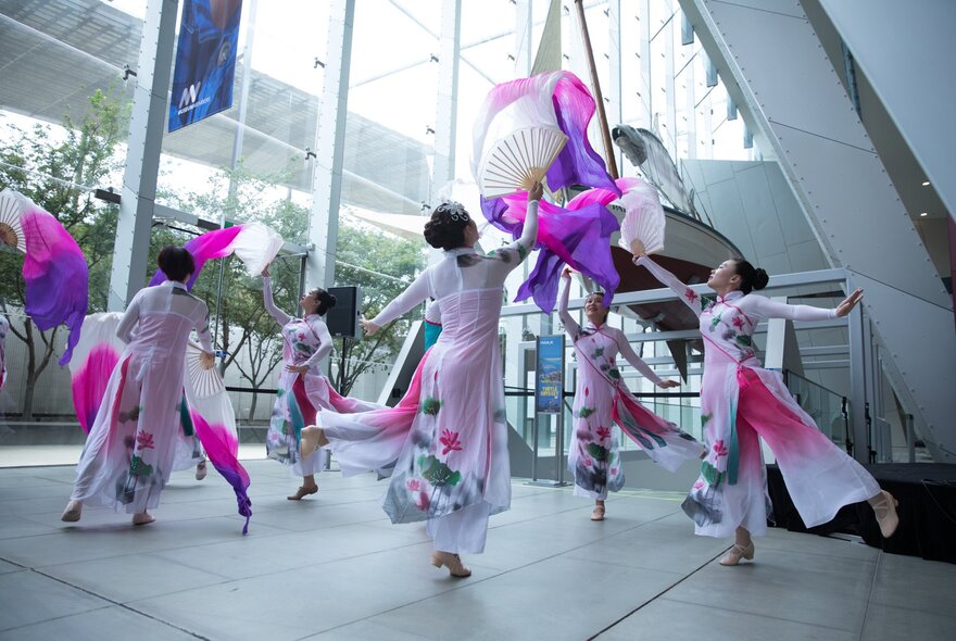 Traditional Chinese dancers wearing white and pink flowing gowns and holding large fans, performing in the foyer of the Melbourne Museum.