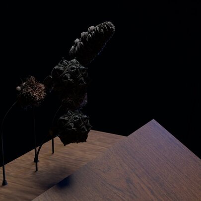 Dark artwork installation.