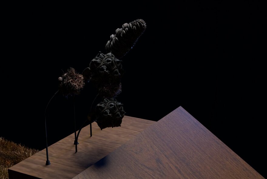 Dark artwork installation.