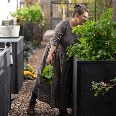 A person harvesting vegetables from a raised garden bed, with other raised garden beds behind her in an outdoor garden space.