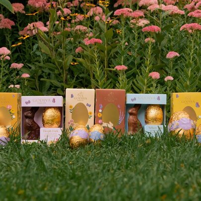A collection of chocolate Easter eggs and bunnies in small gift boxes, arranged on green grass with flowers in the background, in a gardens setting.