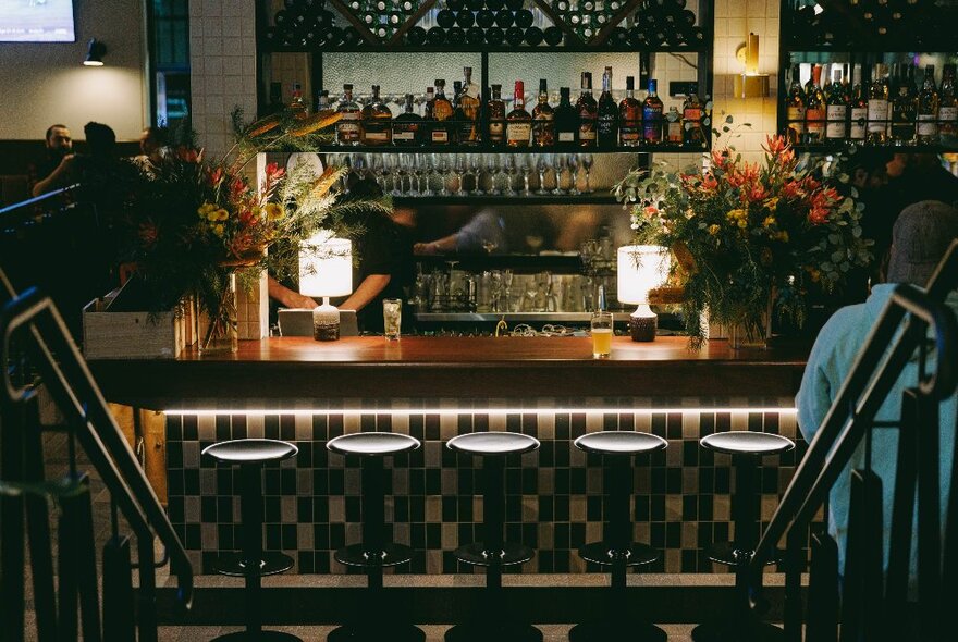 The view of a pub bar with barstools and shelves of liquor.