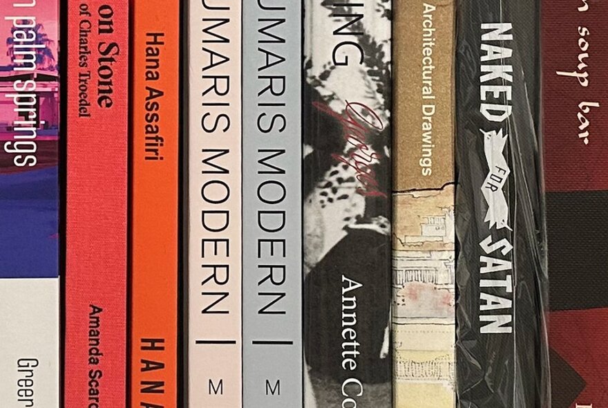 A colourful collection of book spines.