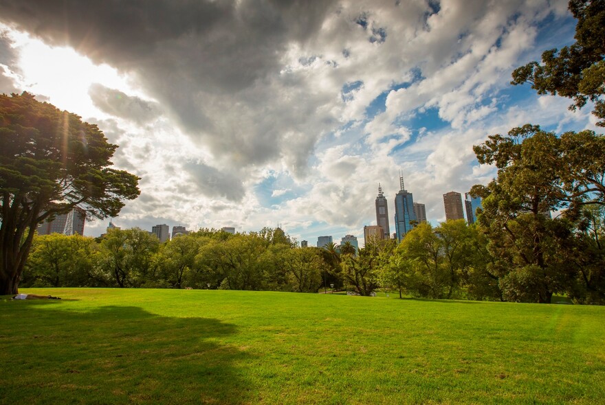 Parkland scene with trees and grass .