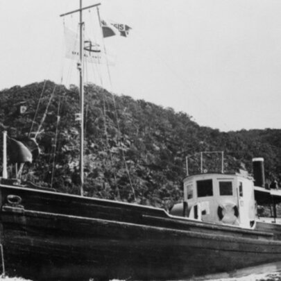 Book Talk: Survival in Singapore