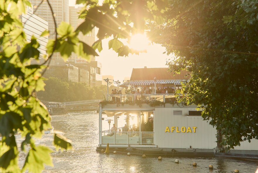 Afloat in Melbourne in the Yarra River with a late afternoon glow through trees.