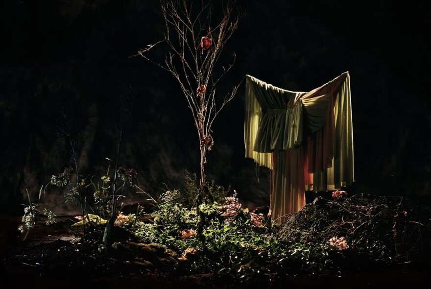 A dark, theatrical scene featuring a bare tree and a large, draped yellow fabric on the right, the ground is covered in green plants and dry brush.