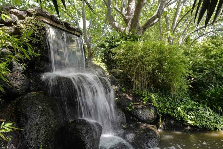 A waterfall in a garden