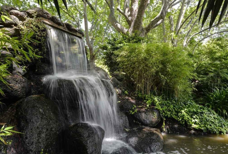 A waterfall in a garden