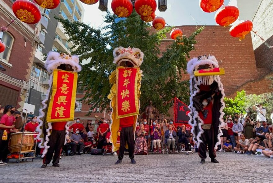 A Chinese Lion Dance with three performers and a crowd looking on. 