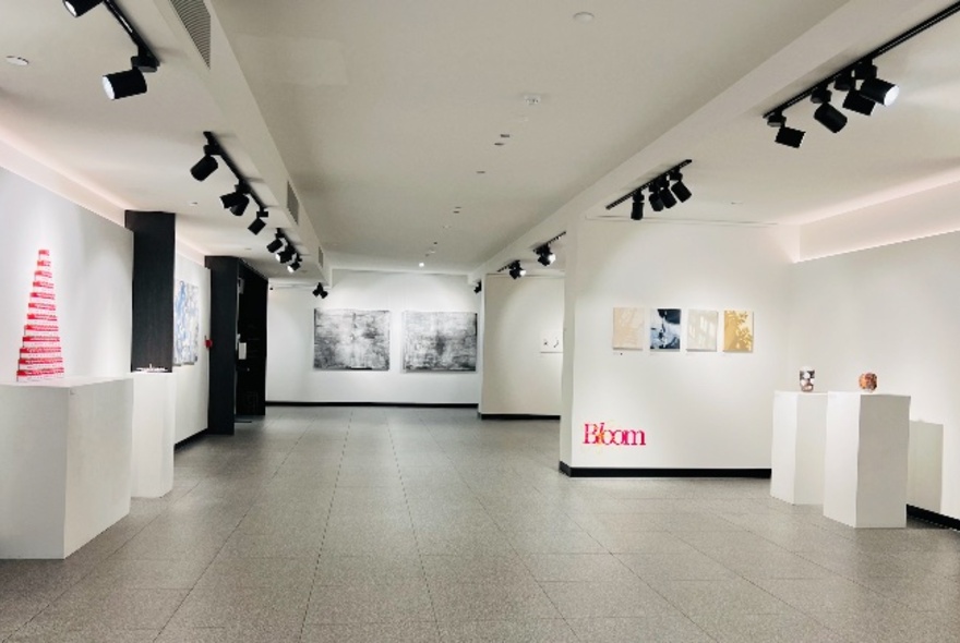 White-walled gallery space with black overhead lighting shining onto artworks on wall and display tables.