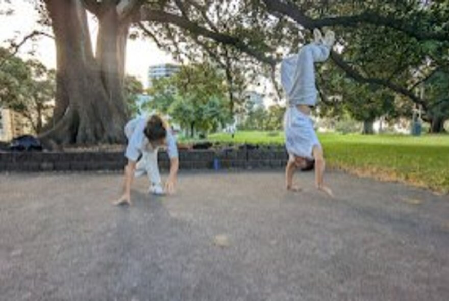 Two people wearing white dancing Capoeira in Flagstaff Gardens.