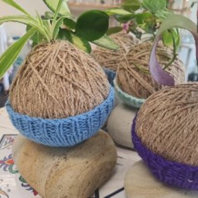 Kokedama and Yoga Workshop