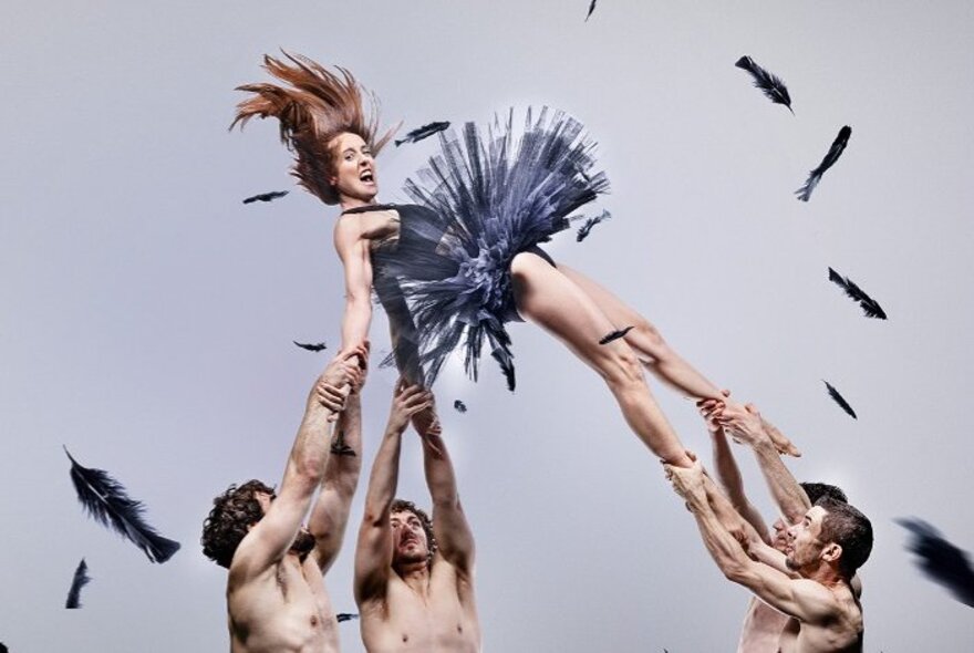 A female circus performer in a black tutu, being thrown in the air but held tightly by four shirtless male dancers.