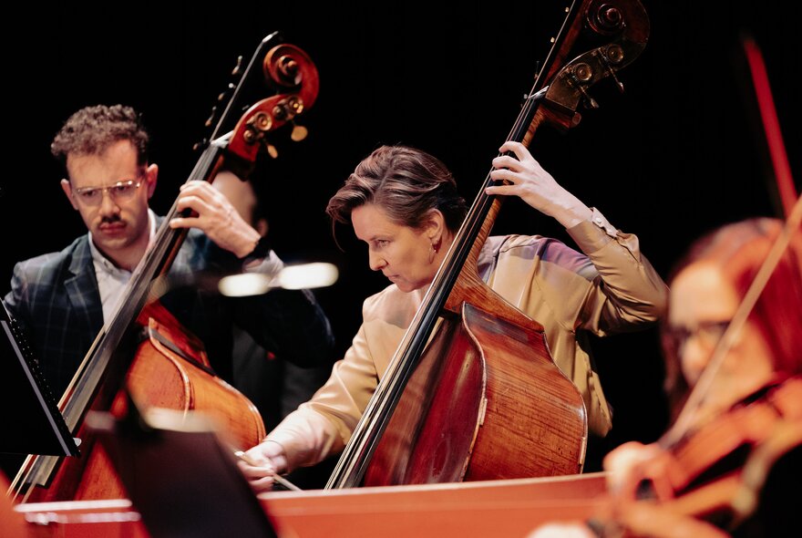 Orchestra members playing the cello.