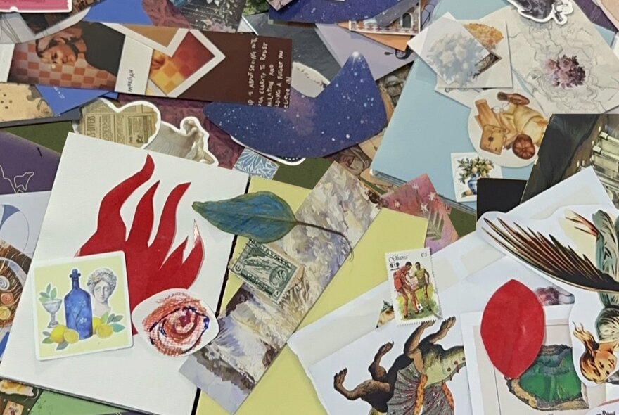 Collection of collage materials including pictures, feathers and leaves.